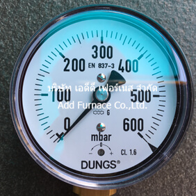 Dungs Pressure Gauge:0~600mbar